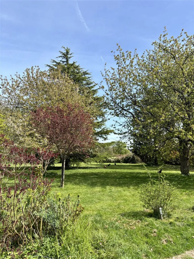 Jardin - Maison Rénovée avec Terrasse dans un Cadre Paisible