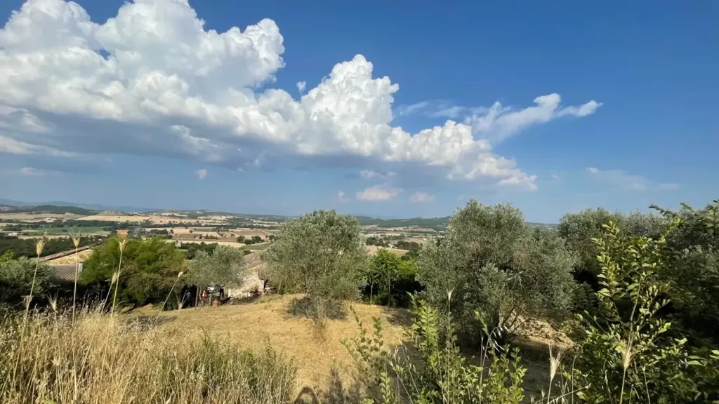 Casale with Olive Grove near Perugia