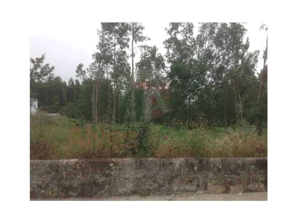 Jardin - Building Land in Residential Area, Maia