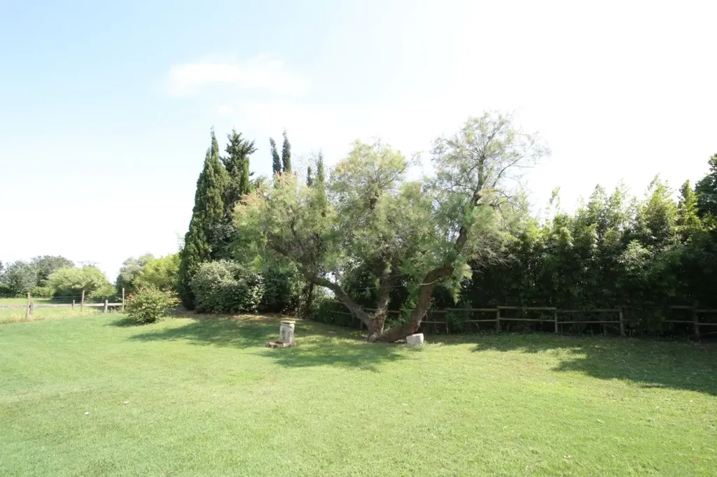 Aed - Luxury House with Pool in Nîmes, Occitanie