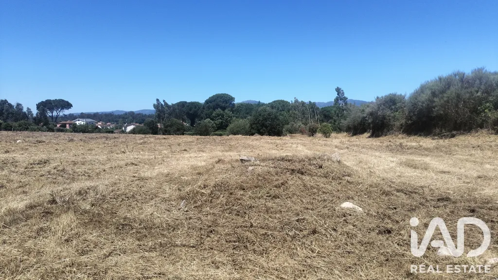 Rural Land with Expansion Potential in Tondela