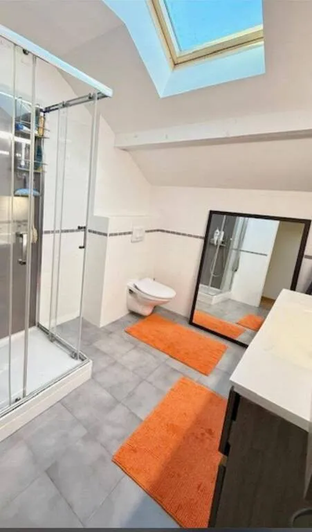 Bathrooms - Linked Villa with Large Terrace in Saint-Genis-Pouilly