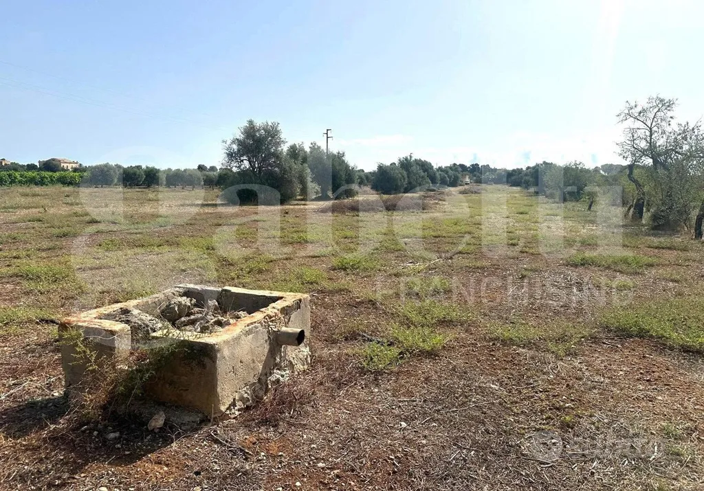 Aed - Buildable Land with Sea View in Noto
