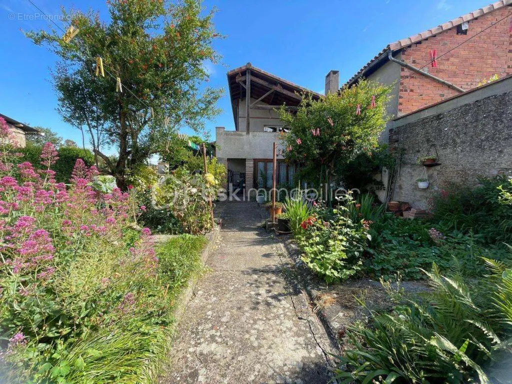 Jardin - Maison de ville avec jardin à Rabastens