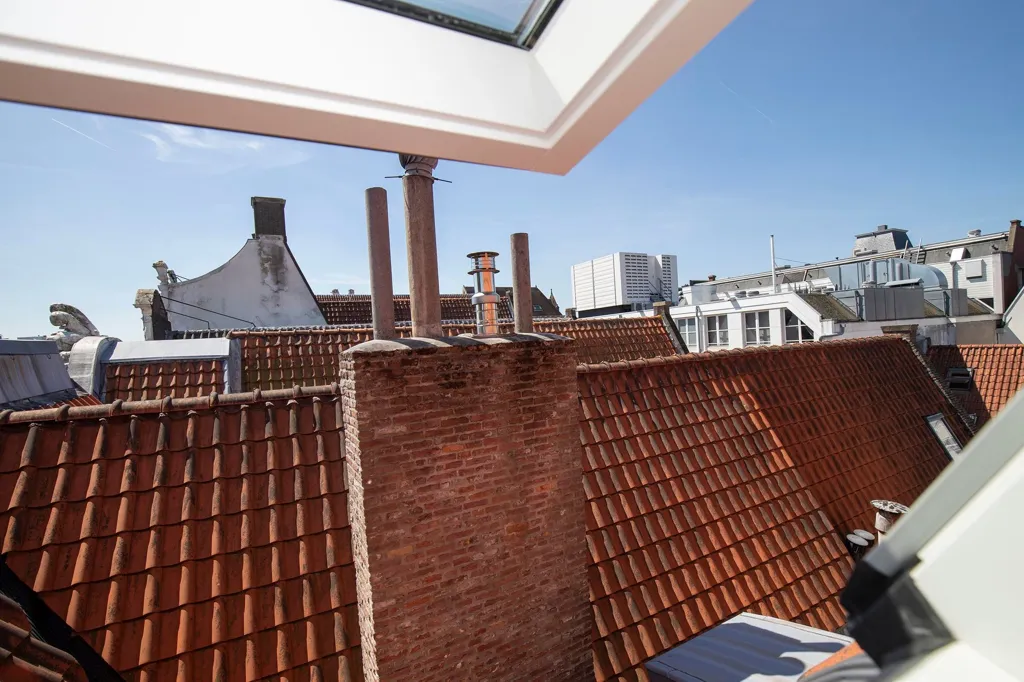 Toad - Renovated Duplex with Singel View in Amsterdam