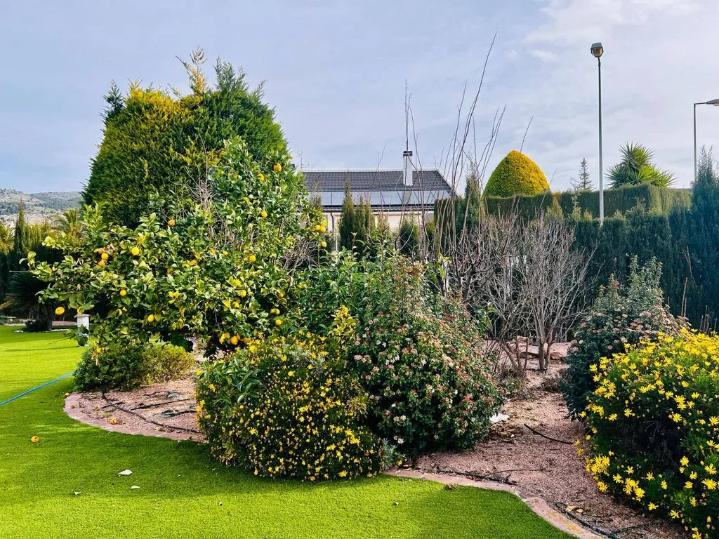 Jardin - Detached House with Pool in Ibi