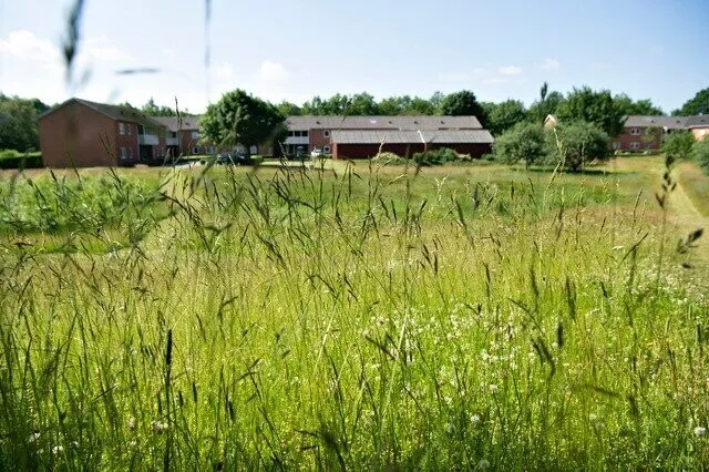 Garden - Two-Bedroom Flat with Terrace in Viborg
