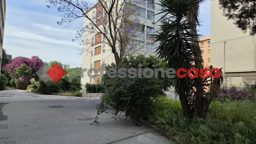 Aed - 2-Bedroom Apartment near Piazza Risorgimento, Catania