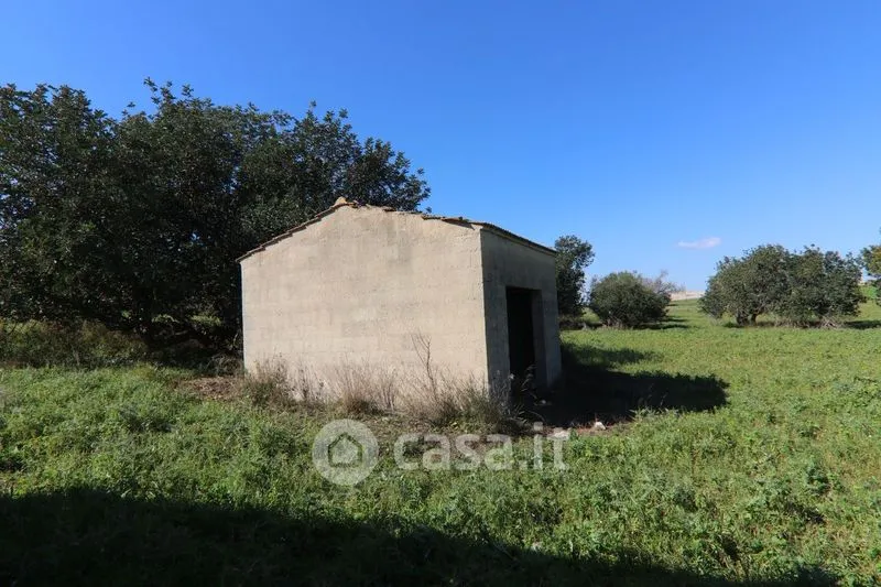 Jardin - Rustic Casale with Large Land in Ispica