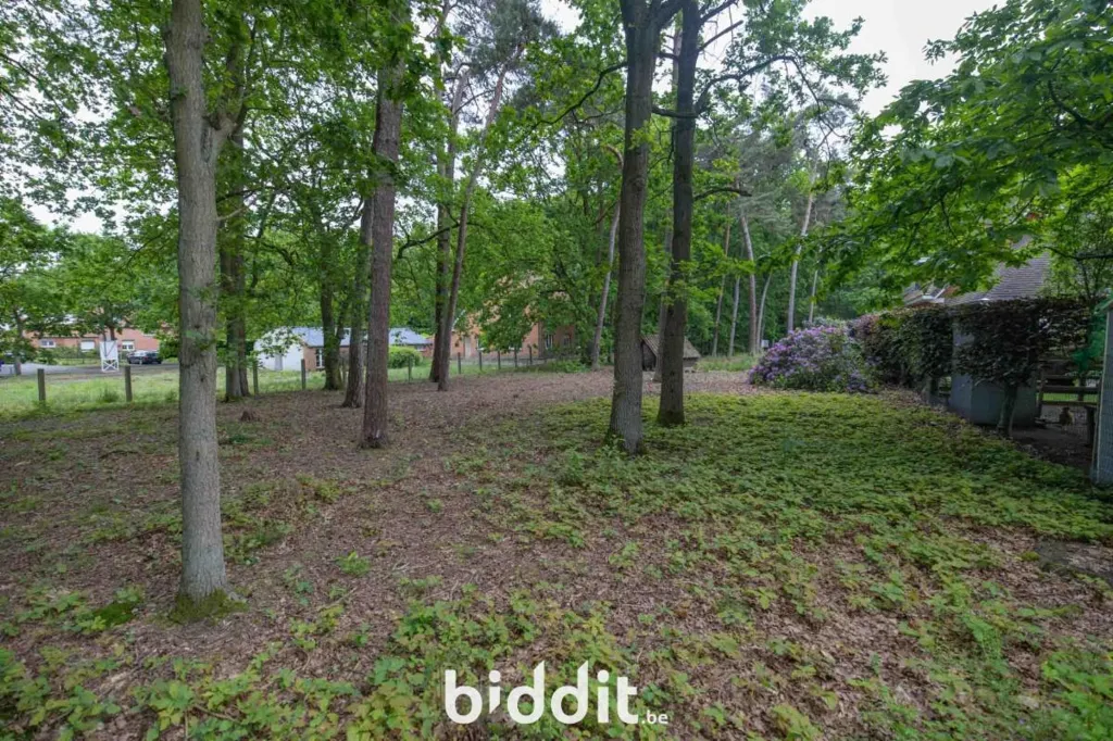 Jardin - Terrains à Bâtir Semi-Ouverts à Bouwel
