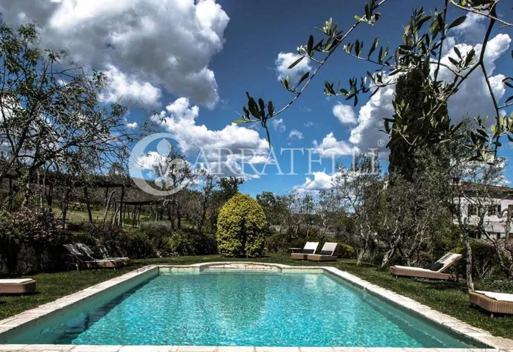 Bassein - Luxury Villa with Pool in Greve in Chianti