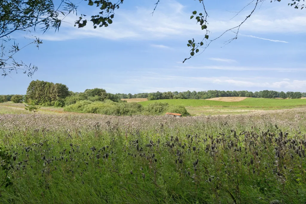 4-toaline maja asukohas Silkeborg