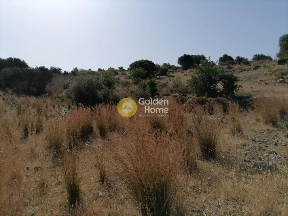 Jardin - Agricultural Plot with Mountain View in Phaistos