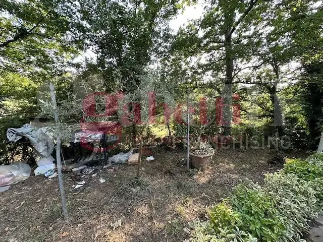 Aed - Rustic House with Garden in Collesalvetti