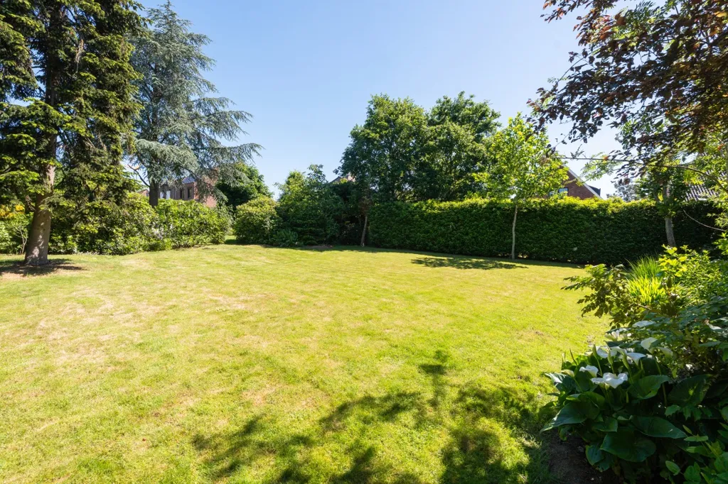 Jardin - Maison Individuelle avec Grand Jardin à Temse