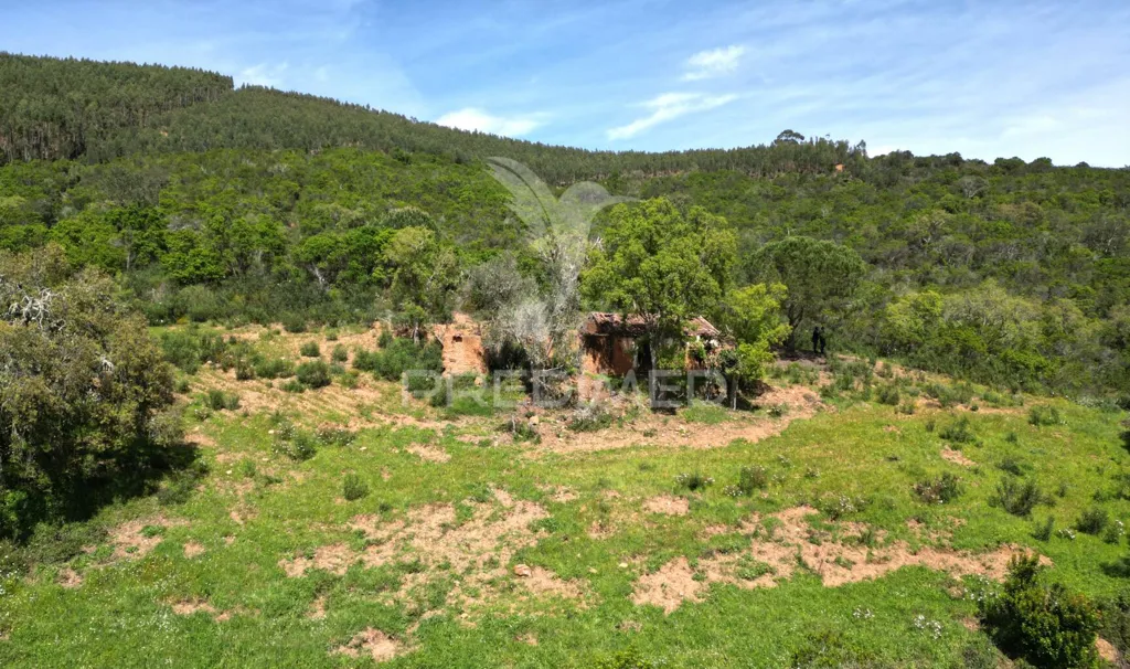 Õhuvaade - Rustic Quinta with Ruin in Alentejo