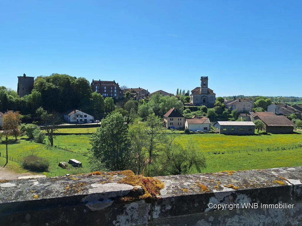 Maison de Village avec Jardin et Vue en Haute-Saône