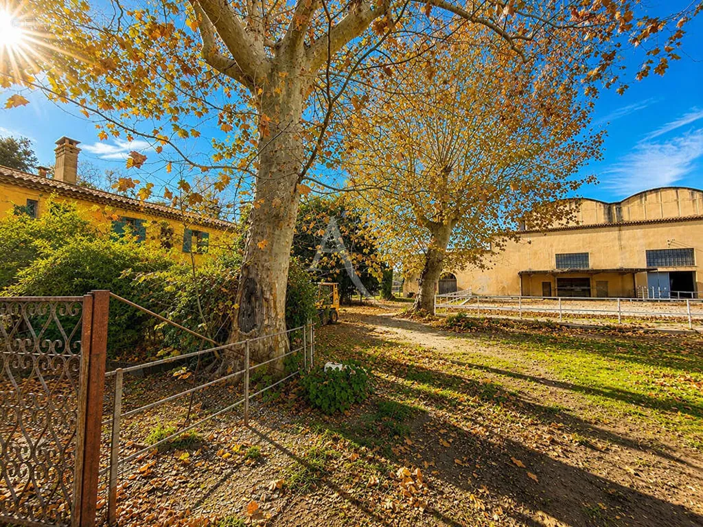 Giardino - Exceptional Mas with Vineyard in Provence