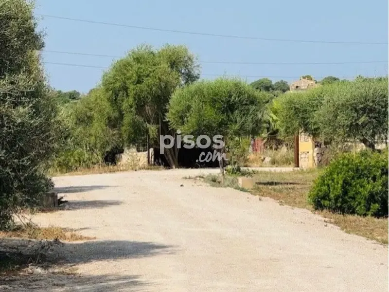 Jardin - Rustic Finca with Pool near Manacor