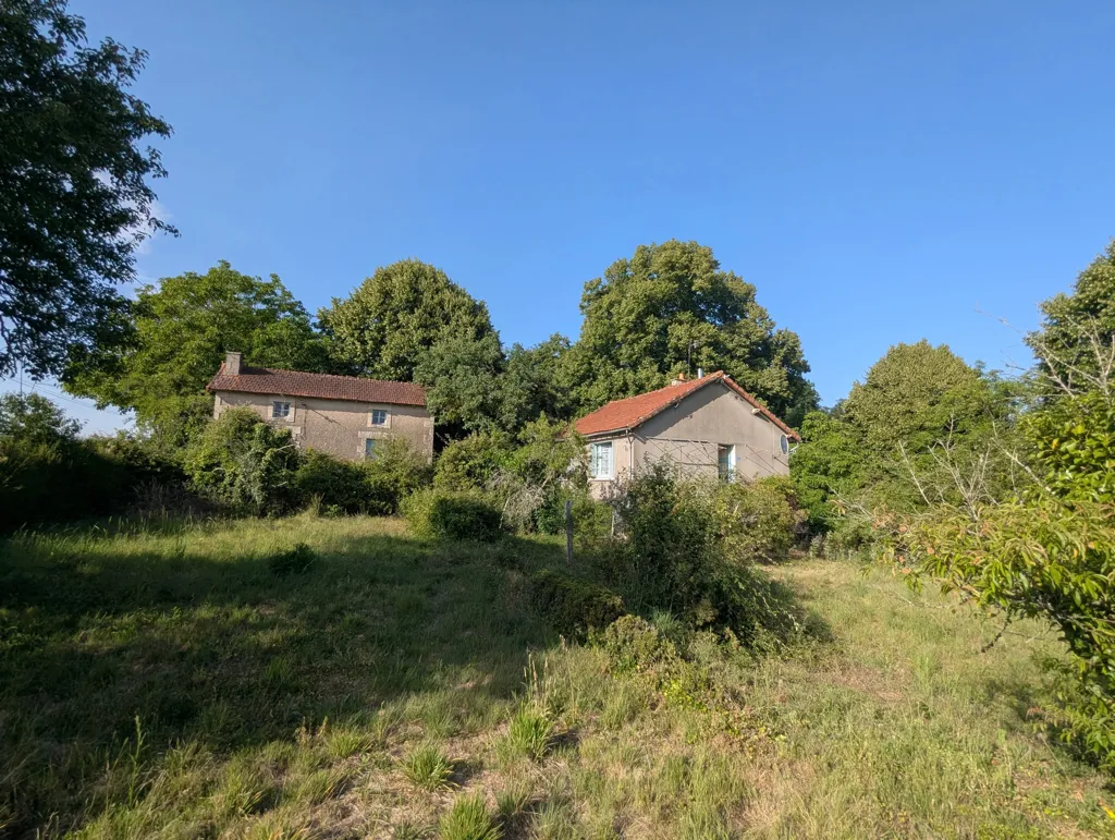 Jardin - Ensemble de 2 Maisons à Rénover dans un Environnement Verdoyant