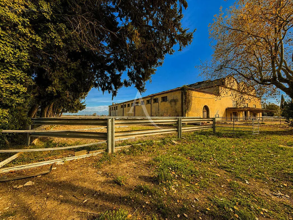Esterno - Exceptional Mas with Vineyard in Provence
