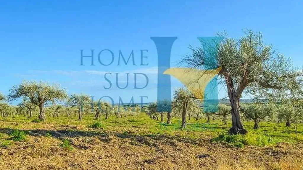 Garden - Villa with Olive Grove in Noto