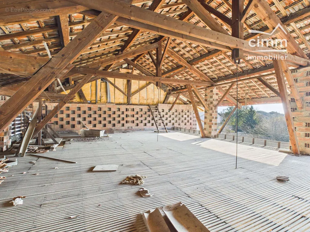 Toad - Former Drying Barn with Garages near Grenoble