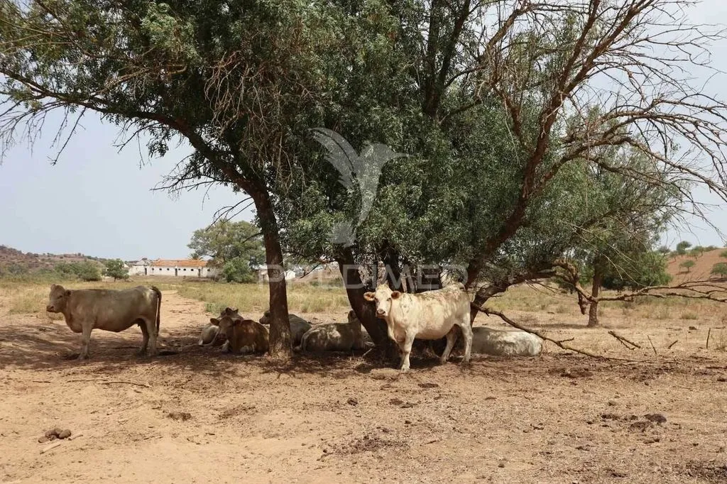 Aed - Development Land with River View in Castro Marim