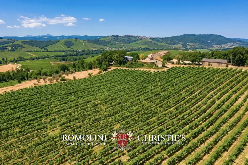 Õhuvaade - Rustic Casale with Vineyard near Orvieto
