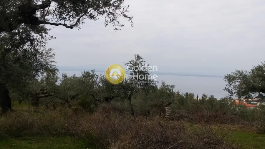 Aed - Plot with Sea View in Avia - Akrogiali