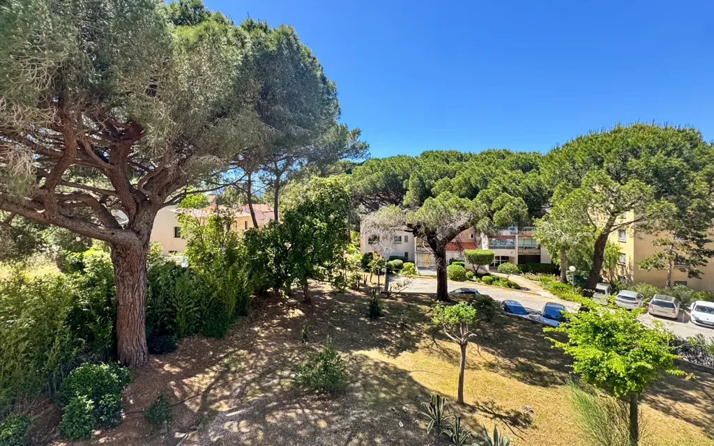 Jardin - Studio Vue Mer à Saint-Mandrier-sur-Mer