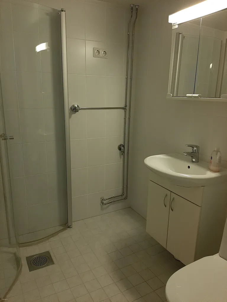 Vannitoad - Studio Flat with Balcony in Jalkaranta, Lahti