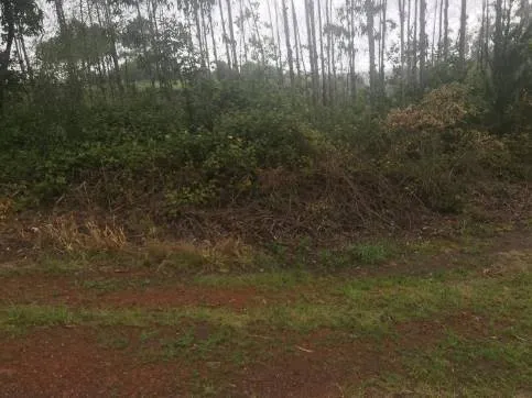 Jardin - Plot with Views in Zas, A Coruña