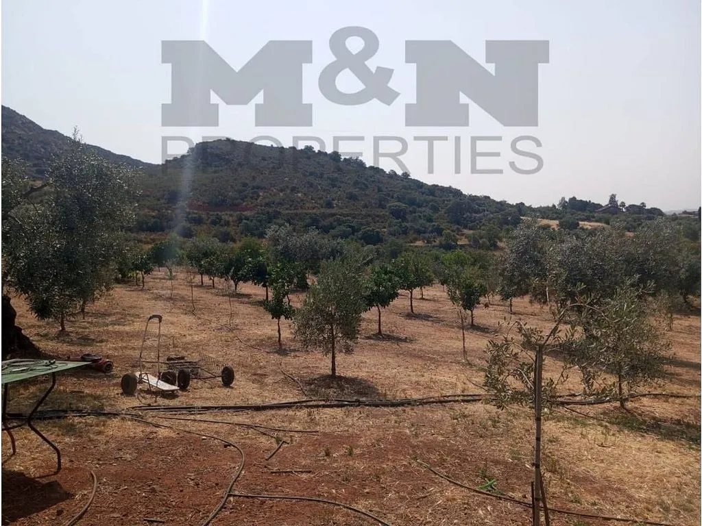 Aed - Rural Cortijo with Pool near Alange