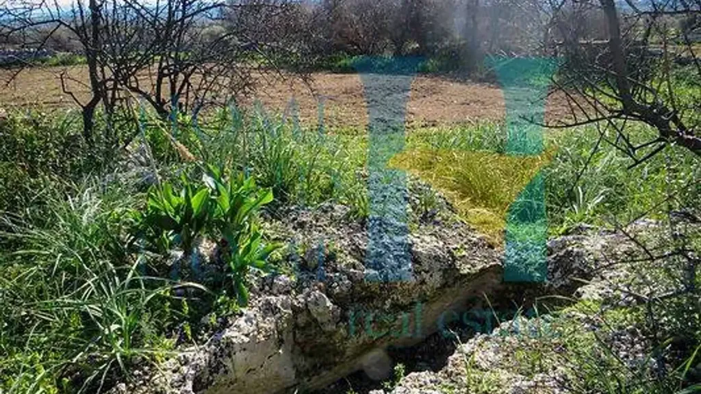 Aed - Rustic House with Olive Grove in Noto
