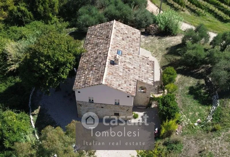Vue aérienne - Restored Rustico with Vineyard in Cossignano