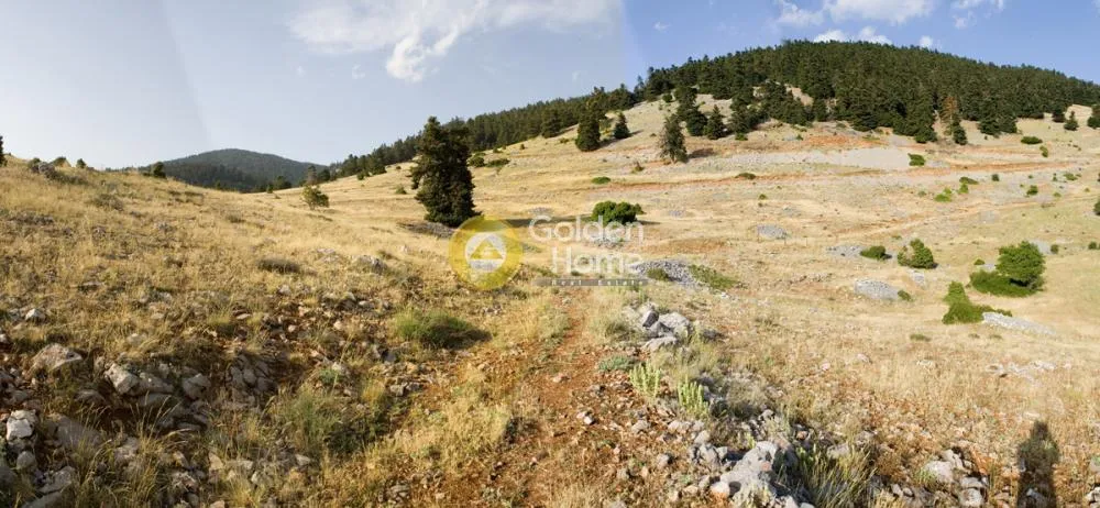Agricultural Plot with Panoramic View in Arachova