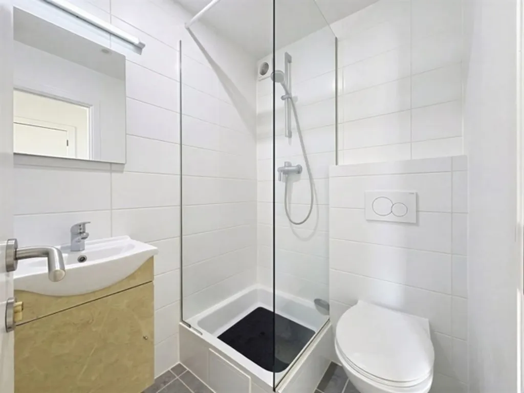 Bagni - Renovated 1-Bedroom Flat with Cellar in Anderlecht