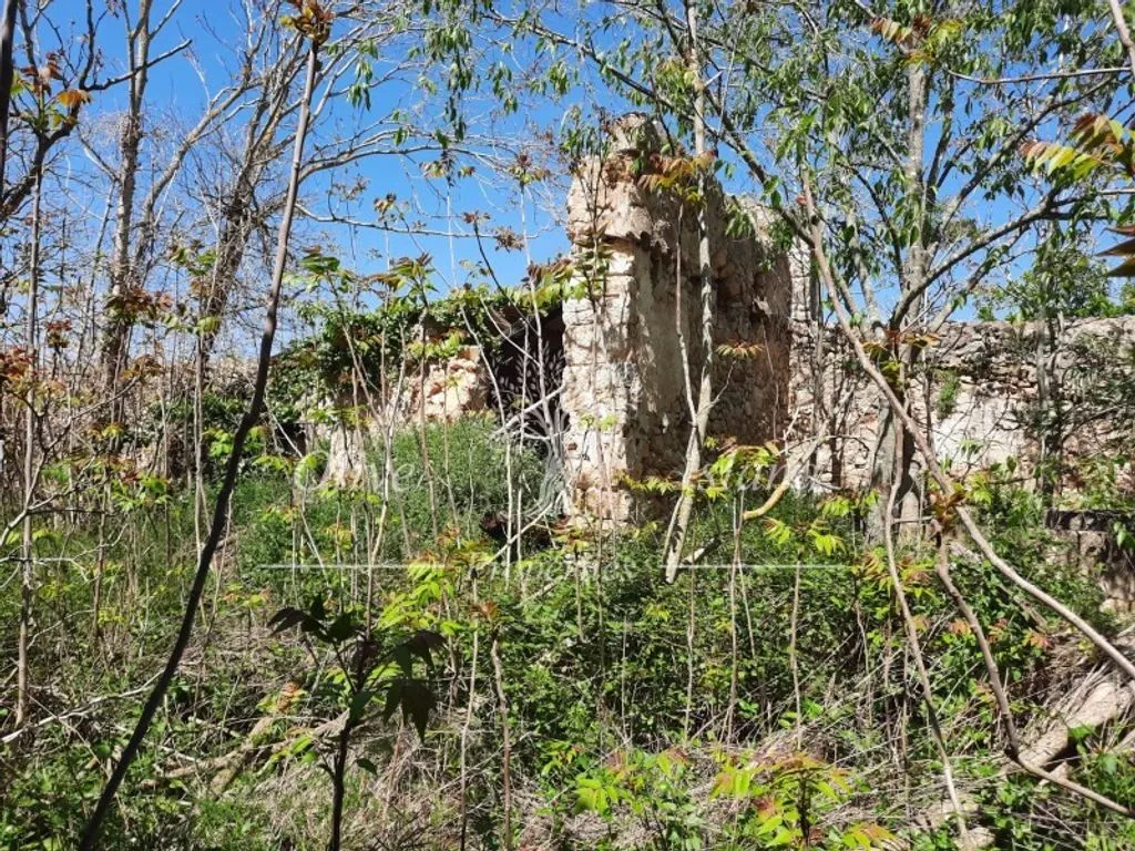 Jardin - 18th Century Manor for Restoration in Binissalem