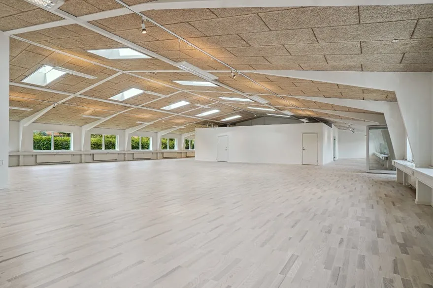 Toad - High-ceilinged Office/Showroom in Risskov
