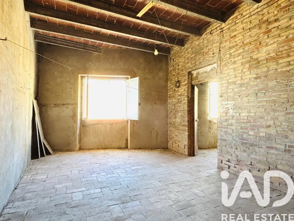 Toad - Spacious House with Terraces in Tornabous