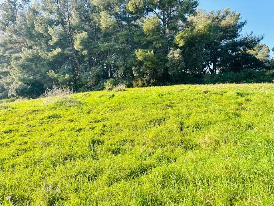 land_plot