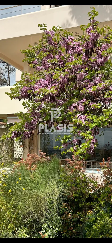 Esterno - Luxurious Corner Apartment with Panoramic View in Kifissia
