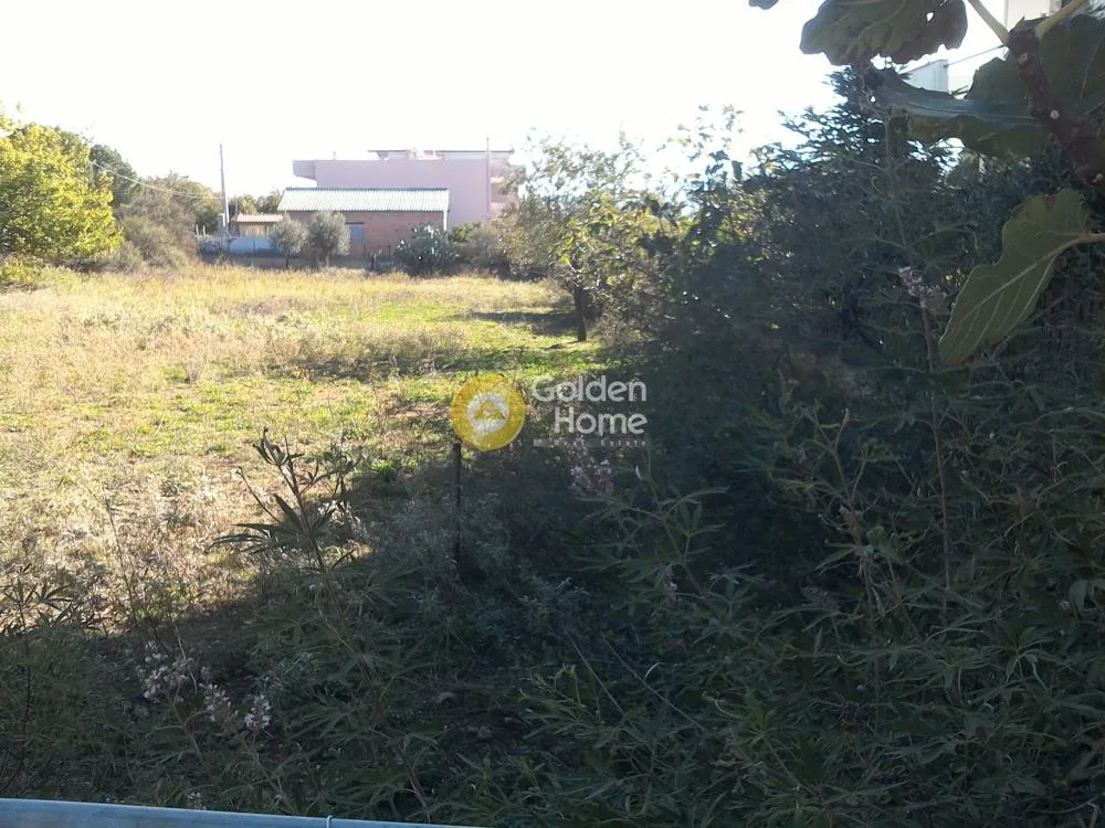 Aed - Agricultural Plot with Unobstructed View in Menidi