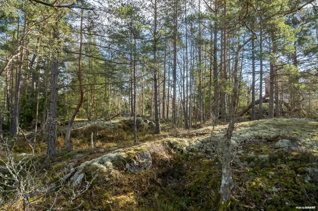 Terrain à Tyresö