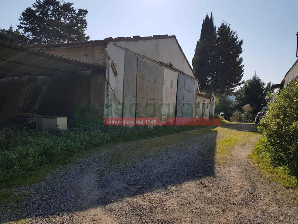 Aed - Tuscan Villa with Garden in Collesalvetti