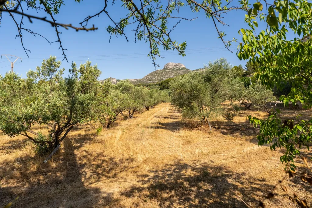 Garden - Luxury House with Pool in Aubagne