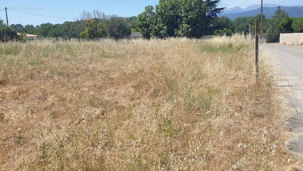 Aed - Buildable Plot in Ghisonaccia Centre