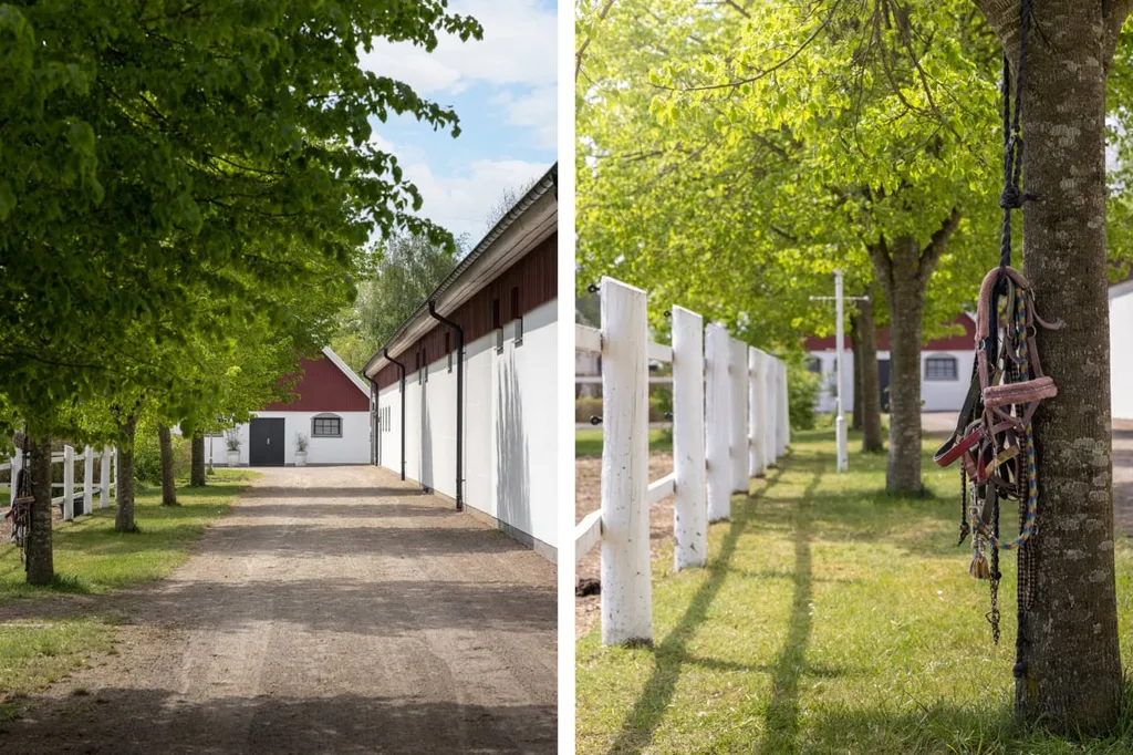 Extérieur - Equestrian Facility with Pool in Helsingborg