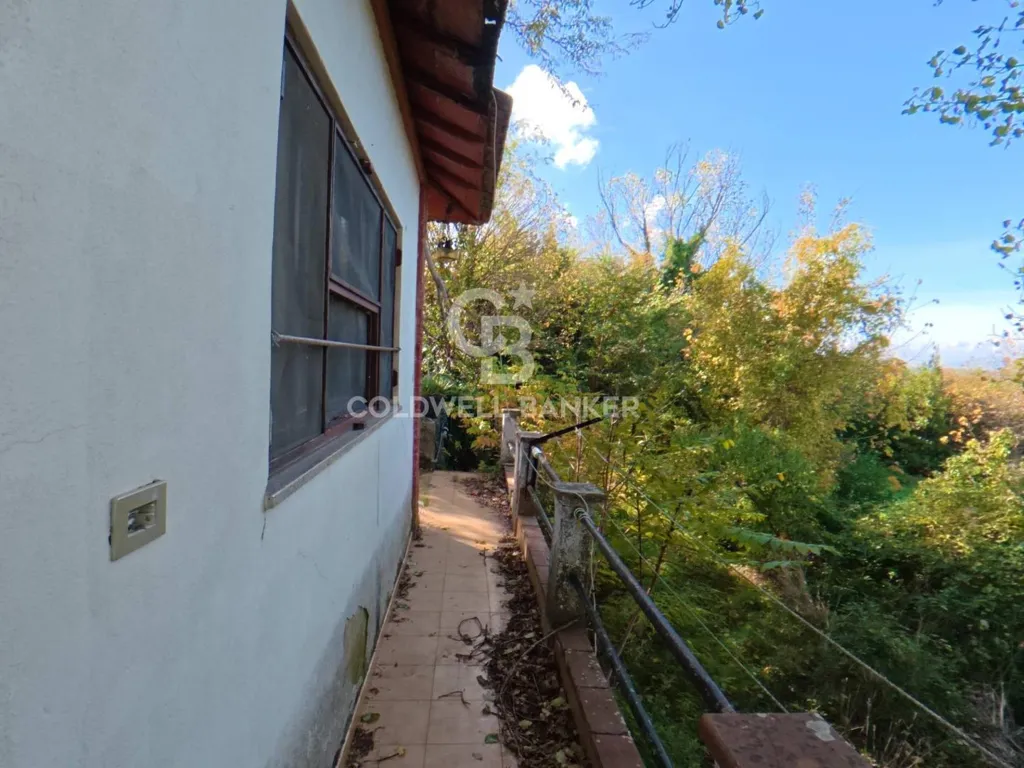 Terrasse - Rustic Estate with Lake in Vinci, Tuscany